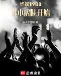 华娱1988，从小虎队开始